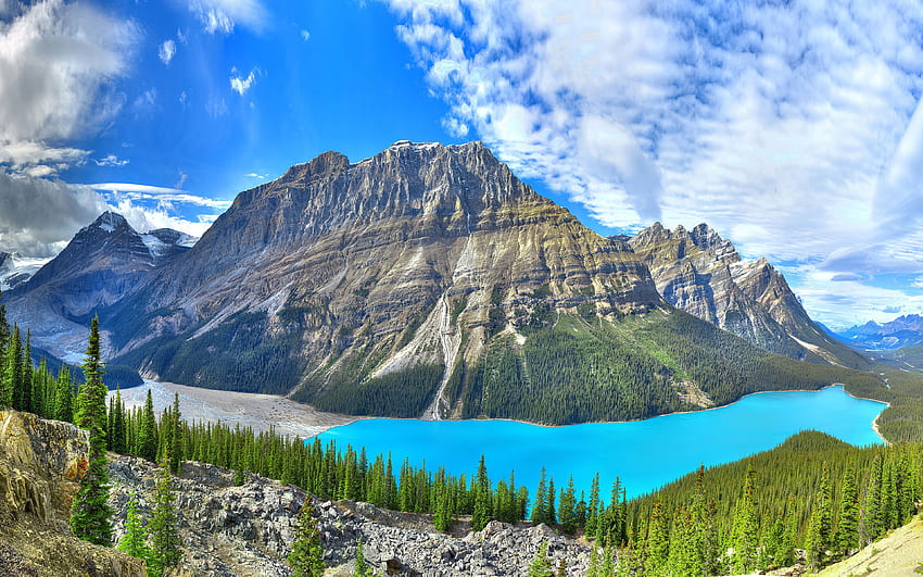 Peyto Lake, Banff NP, Canada, trees, clouds, sky, mountains, alberta HD wallpaper