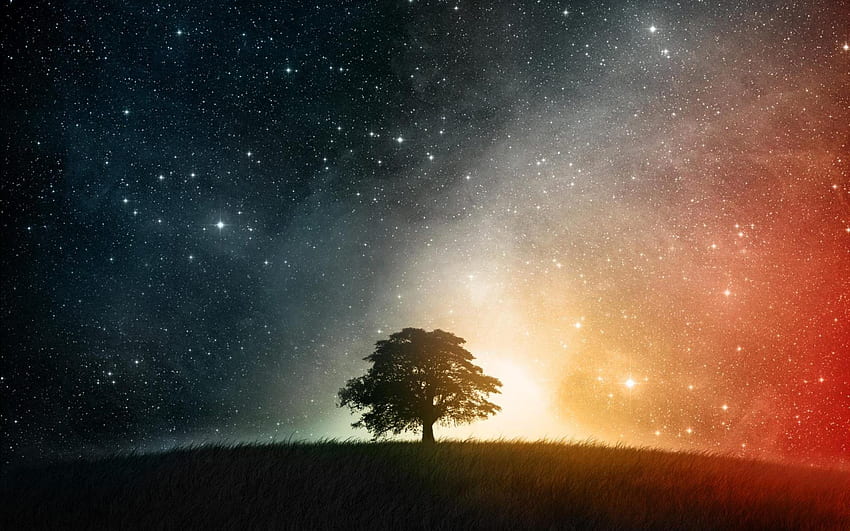 star sky for background on nature, Stary Skies Colorful HD wallpaper