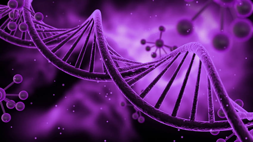 Science fiction wirujące cząsteczki DNA płynne zapętlenie ruchu tła. Sci Fi Animated Video Loop Animacja struktury podwójnej helisy kwasu dezoksyrybonukleinowego. Pełne 1920 X 1080. Fioletowy Fioletowy Ruch Tło - Storyblocks Tapeta HD