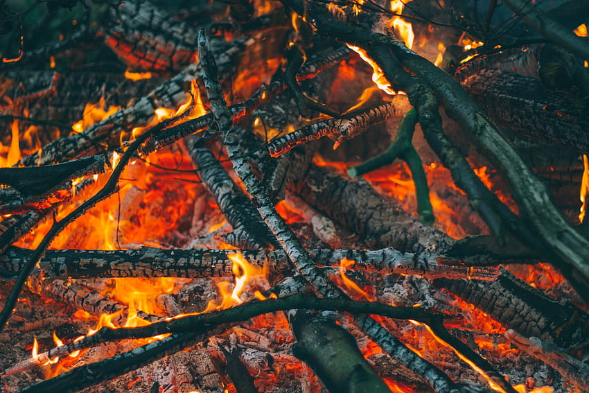 Fire, Bonfire, Coals, , , Ash HD wallpaper