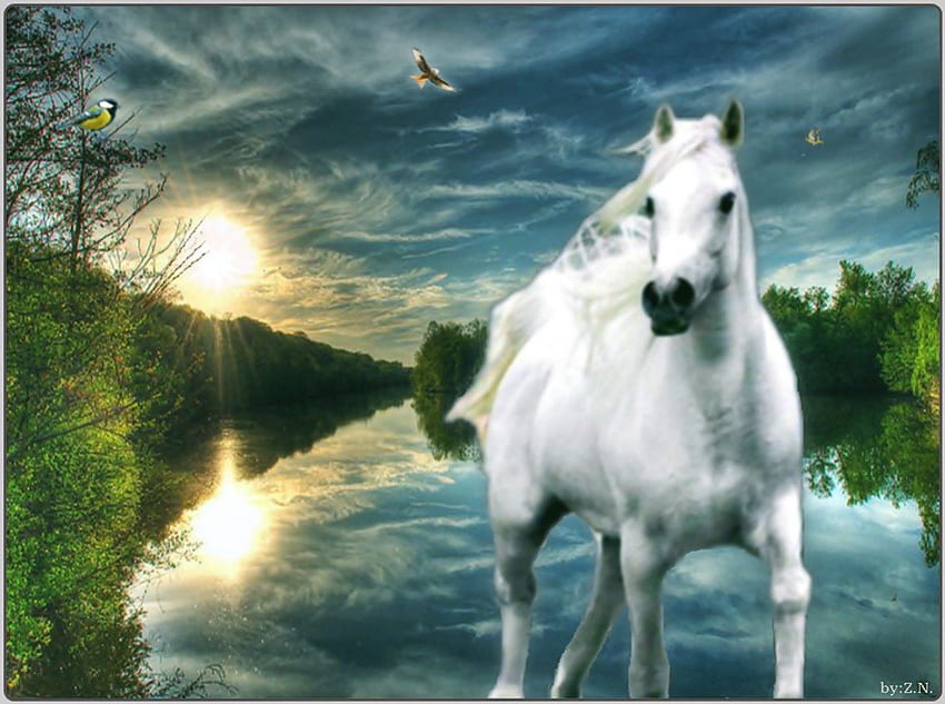 horse, clouds, river, sn HD wallpaper