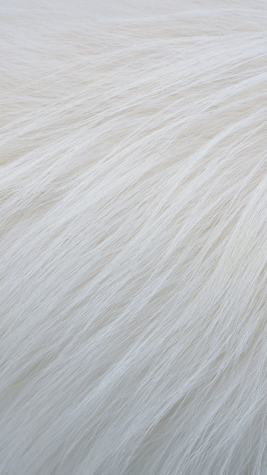 White Fur Background White Fur Texture [] for your , Mobile & Tablet. Explore White Fur . Pink Fur , Faux Fur , Furry for Bedrooms HD phone wallpaper