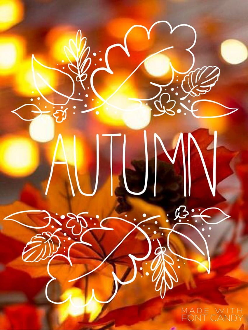 Lauren E on Fall. Autumn aesthetic, Fall, Hello Autumn Aesthetic HD ...