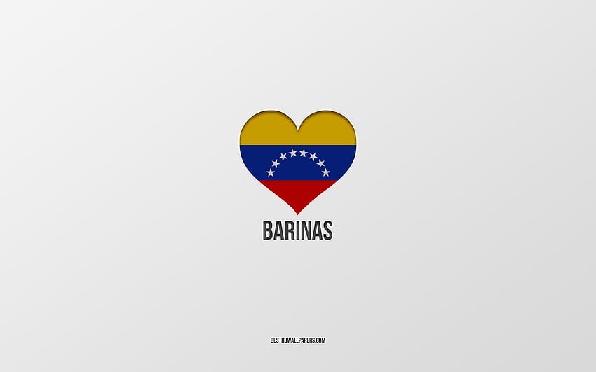 I Love Barinas, Colombian cities, Day of Barinas, gray background, Barinas, Colombia, Colombian flag heart, favorite cities, Love Barinas HD wallpaper