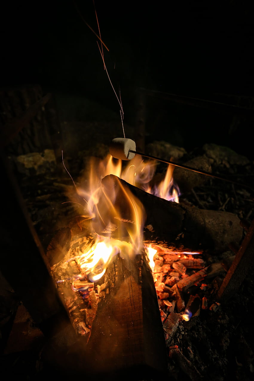 Fire, Bonfire, Night, Dark, Camping, Campsite, Zephyr, Marshmallow HD phone wallpaper