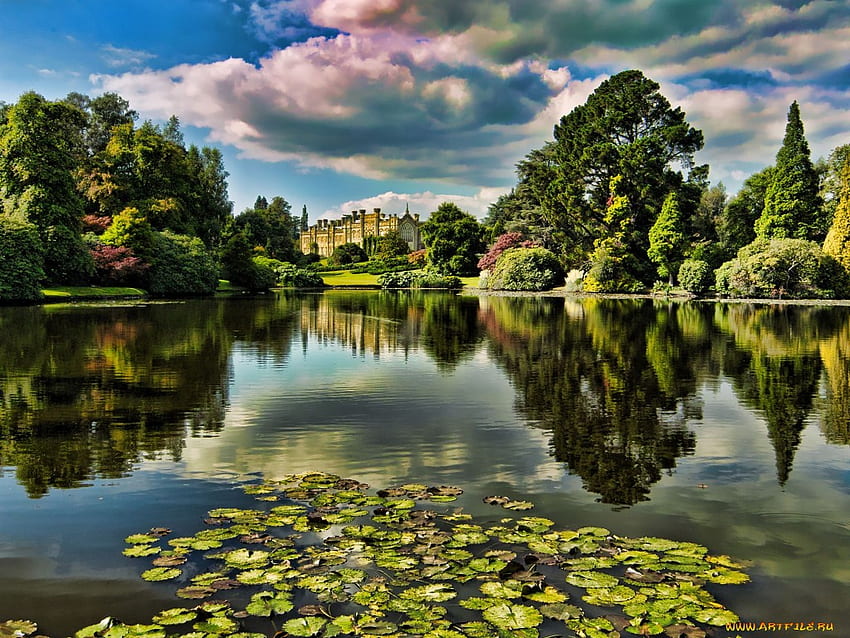 Lake., reflection, flower, building, sky, waterlily, lake, park, cloud HD wallpaper