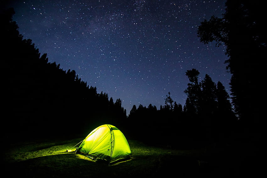 / licht in einem grünen zelt umgeben von baumsilhouetten in einer sternenklaren nacht, der wandernden nacht HD-Hintergrundbild