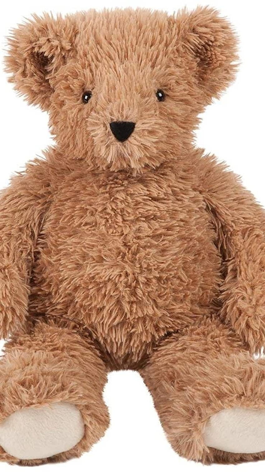 Teddy Bear Live, Adorable HD phone wallpaper