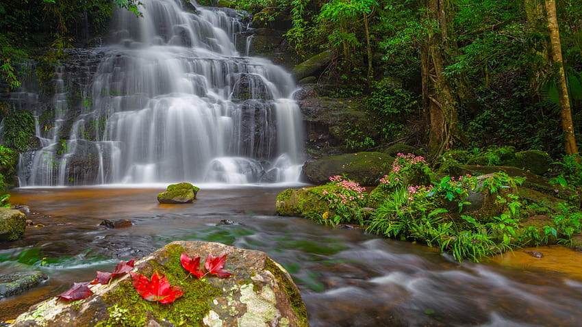 Tropischer Wasserfall in Thailand, Blumen, Felsen, Fluss, Blätter, Kaskaden, Bäume HD-Hintergrundbild