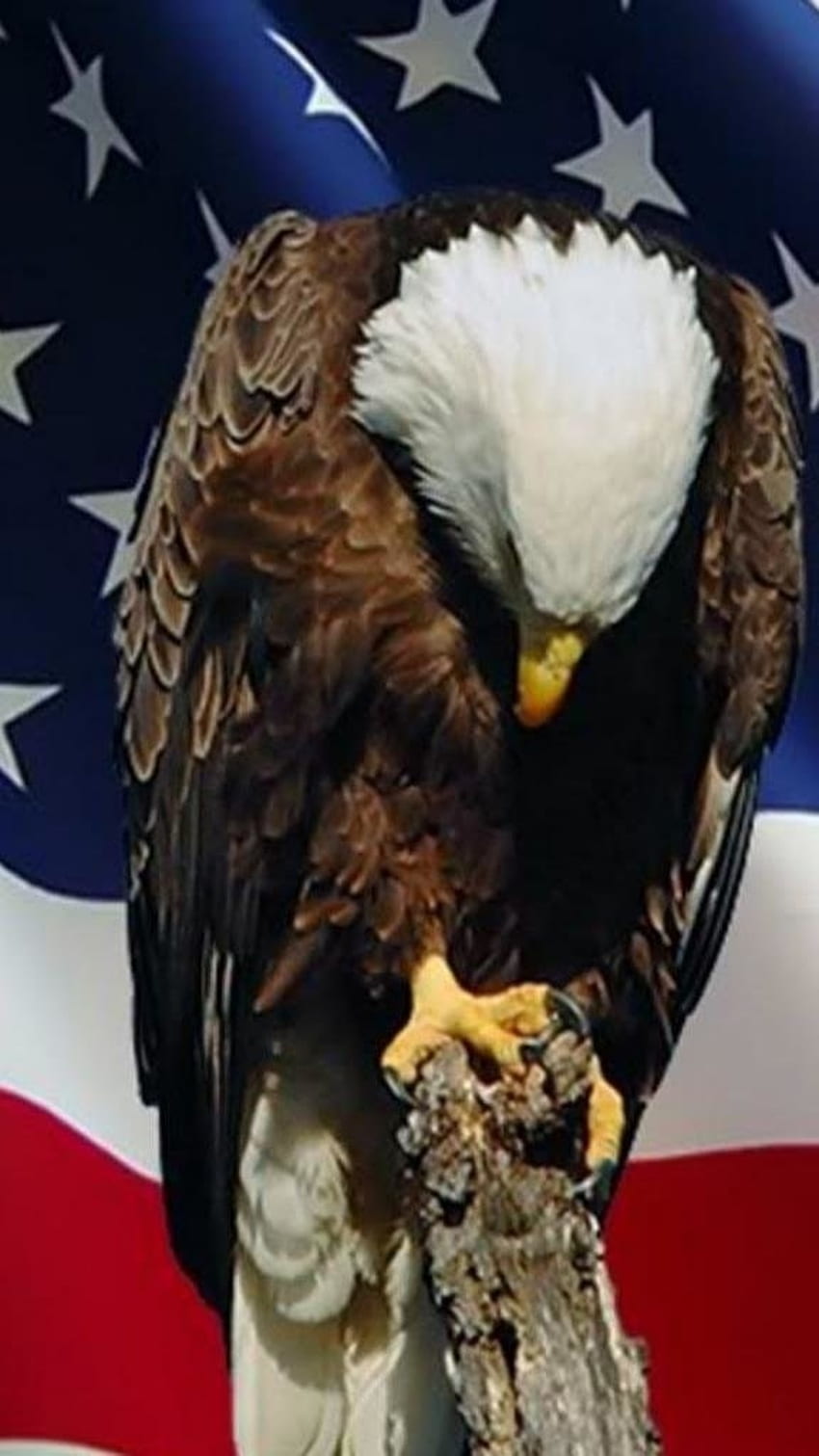 Memorial Day 2022, amerikanische Flagge, Adler, Hintergrund HD-Handy-Hintergrundbild