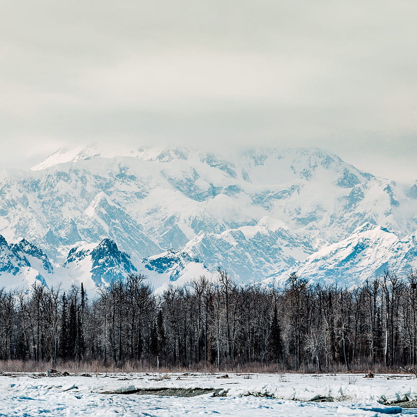 Per vivere al meglio il fiorente movimento alimentare locale dell'Alaska, vai, inverno sulle montagne dell'Alaska Sfondo del telefono HD
