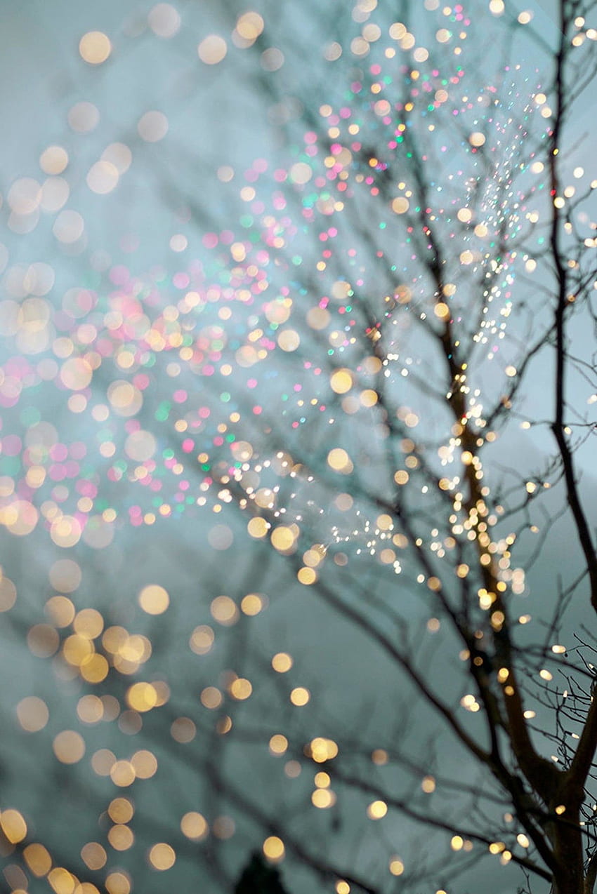 Празнични приказни светлини в дърво през зимата - коледни приказни светлини, естетика на коледни светлини HD тапет за телефон