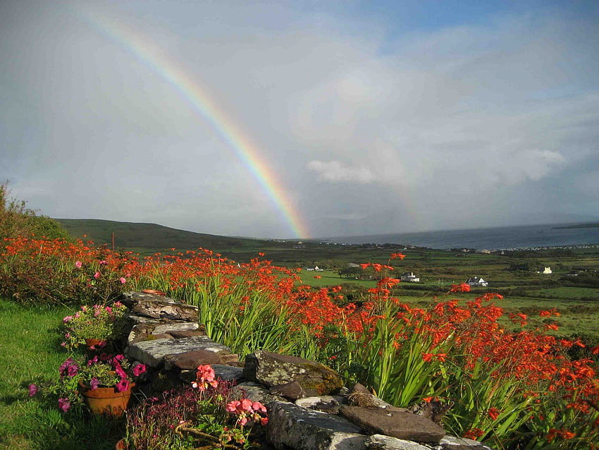 Science Musings Blog: Chasing rainbows, Ireland Rainbow HD wallpaper