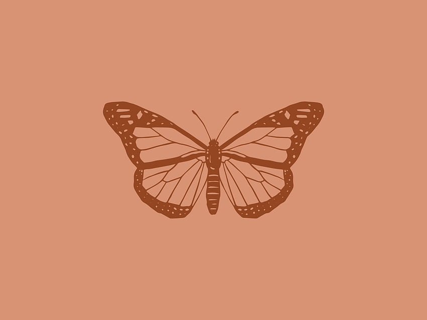 Butterfly Icon. notebook, Imac , Aesthetic, Butterflies Aesthetic HD wallpaper
