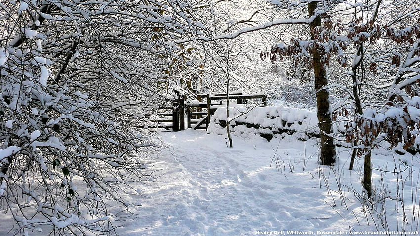 Snow Scenery, New England Winter HD wallpaper