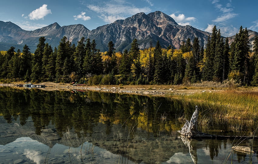 自然, 木, 山, 湖, 反射, カナダ, Albert, Alberta 高画質の壁紙