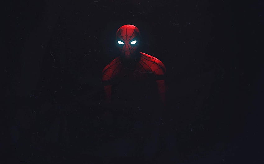 Aranha de Ferro Homem Aranha Sombrio papel de parede HD
