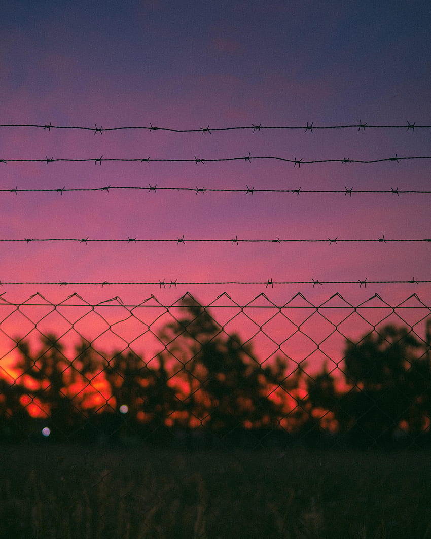 Nature, Sunset, Metal, Metallic, Wire, Barbed Wire HD phone wallpaper