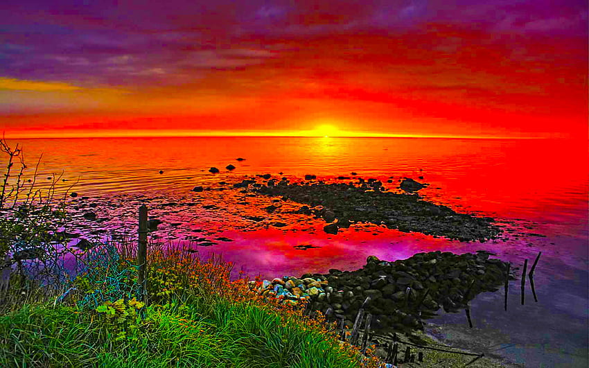 Le coucher de soleil rouge, mer, braise, ciel, herbe, coucher de soleil, rocher Fond d'écran HD
