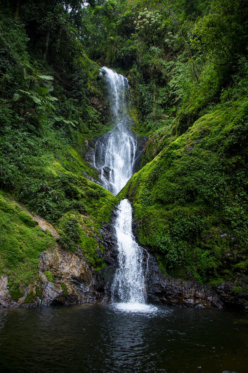 Natur, Wasser, Busch, Felsen, Wasserfall, Strömung, Moos, Bach HD-Handy-Hintergrundbild