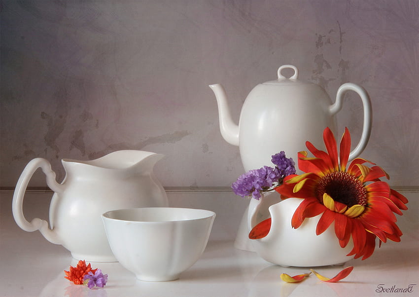 still life 1, composition, white pot, art , still life, white cups, beautiful, nature, red flower HD wallpaper