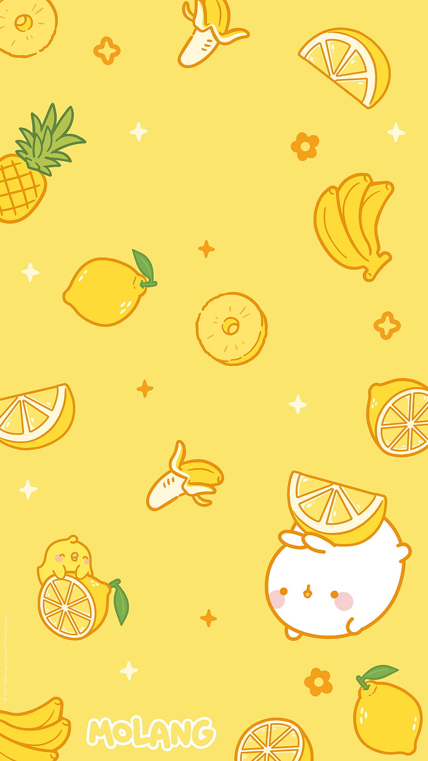 . Molang Officiel Website, Cute Kawaii Summer HD phone wallpaper