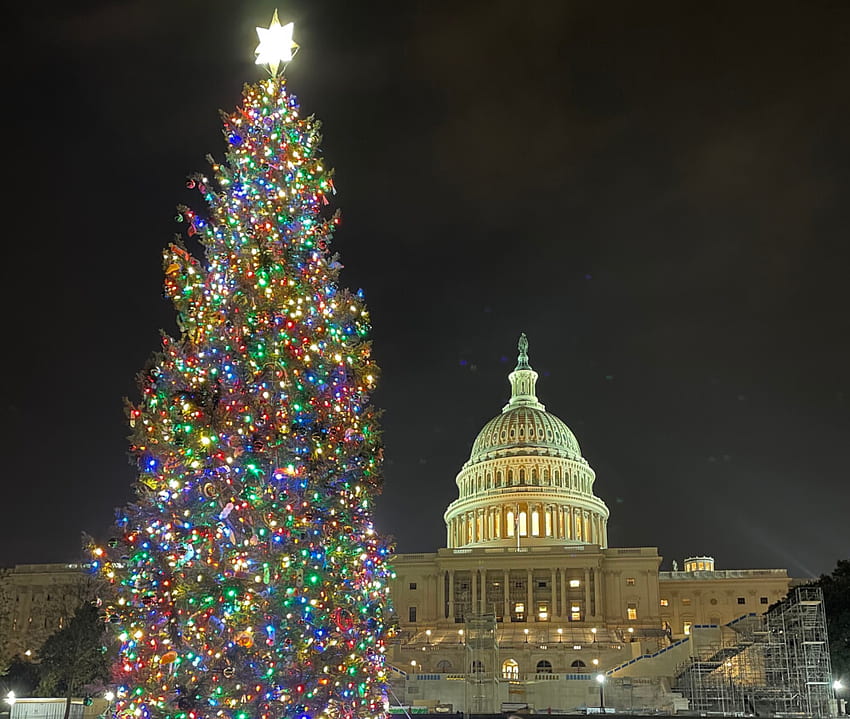 Christmas in Washington, DC: 10 Things to do in Washington, DC at Christmas, Washington DC Christmas HD wallpaper