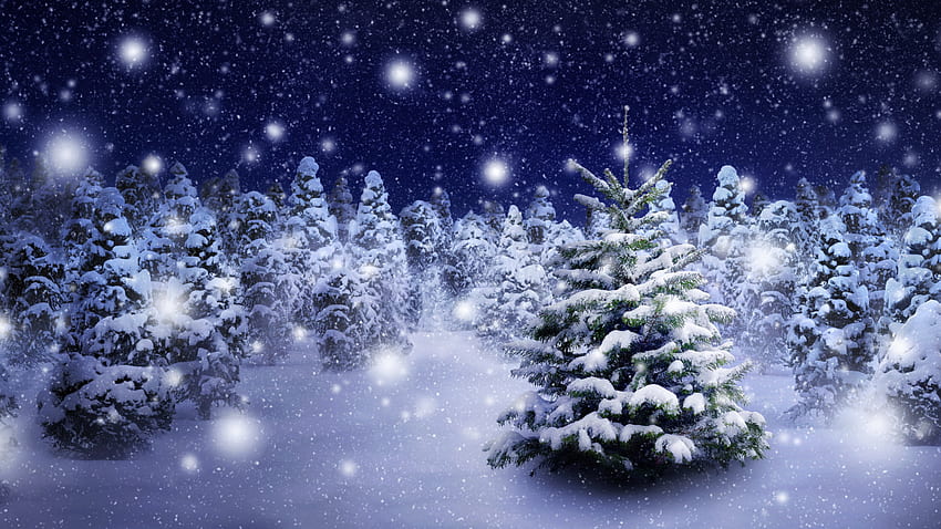 ป่าฤดูหนาว เกล็ดหิมะ คริสต์มาส ป่า ต้นไม้ หิมะ วอลล์เปเปอร์ HD