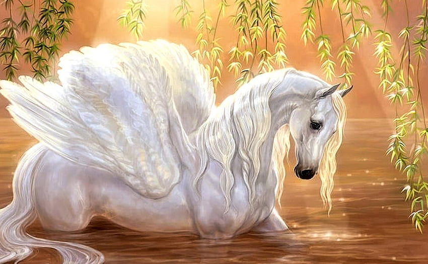 White Pegasus, branco, lindo, Fantasia, Pegasus papel de parede HD
