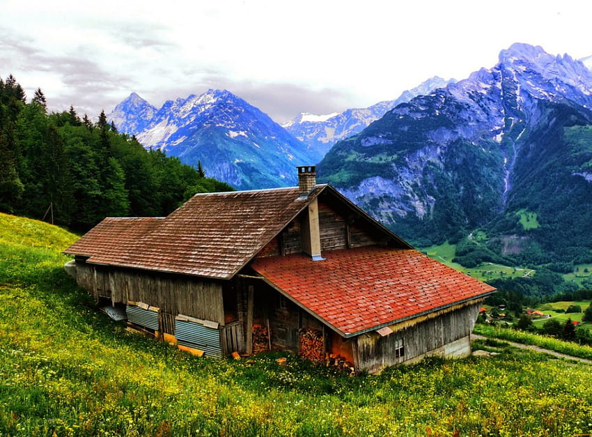 山の家、峰、平和、素朴、静けさ、野生の花、田舎、緑、雪、家、切り株、美しい、草、山、崖、谷、自然、空、山並み、美しい、村 高画質の壁紙