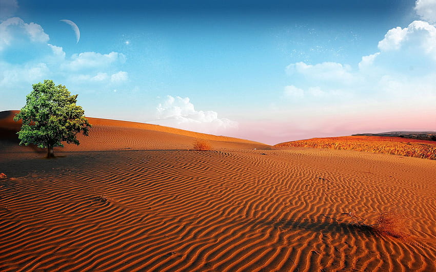 desert landscape morning 4k Mac Wallpaper Download | AllMacWallpaper