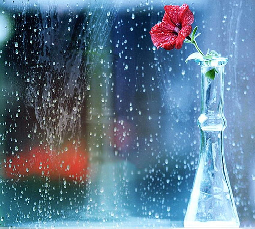 yağmur damlaları, yağmur, grafik, damla, çiçekler, güzellik HD duvar kağıdı