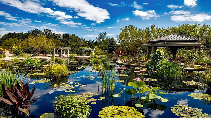 Jardin botanique de Denver, plantes, nuages, arbres, paysage, Colorado, ciel, Etats-Unis, étang Fond d'écran HD