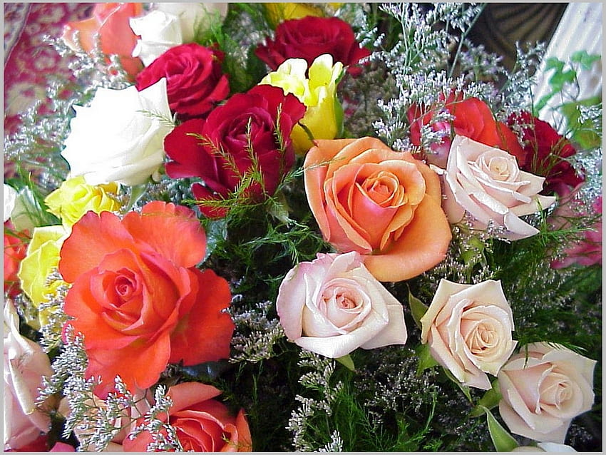 Plantes, Vacances, Fleurs, Roses, 8 mars, Journée internationale de la femme (Iwd) Fond d'écran HD