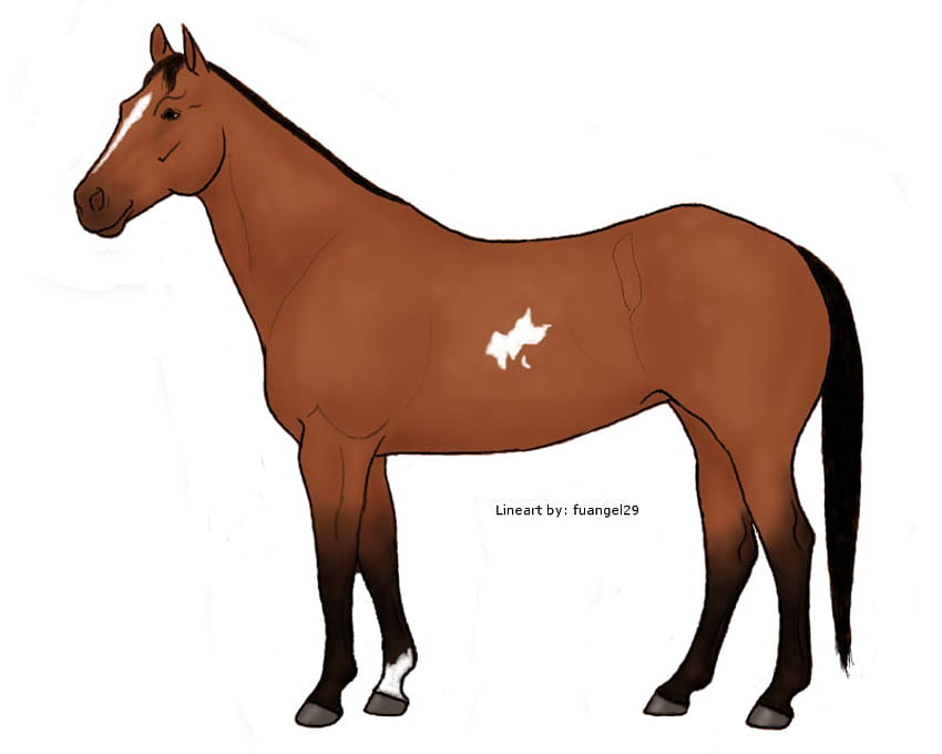 tb caballo marrón grande, dulce, caballo, caballo de lección, gris pardusco, caballo castrado fondo de pantalla