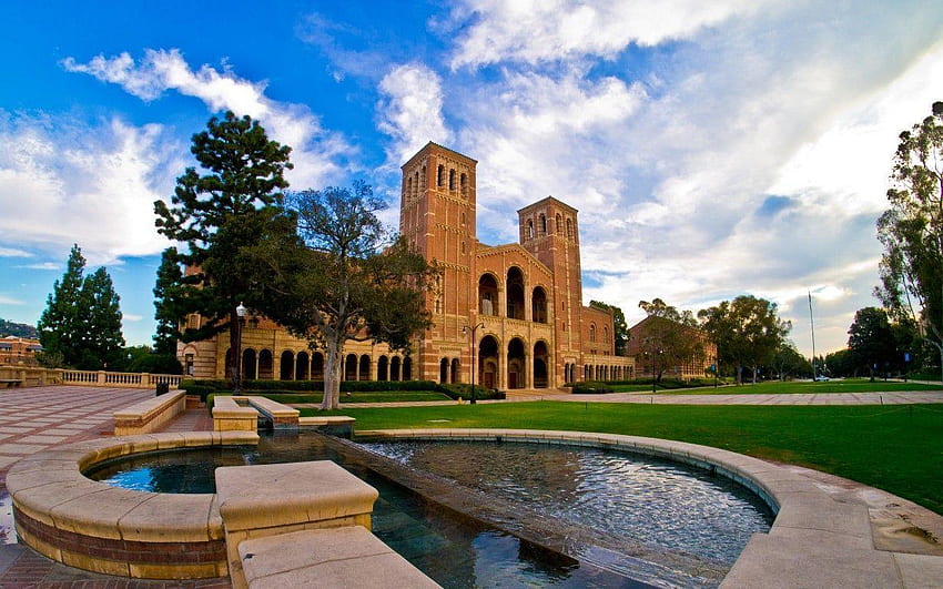 UCLA, kampus UCLA Tapeta HD