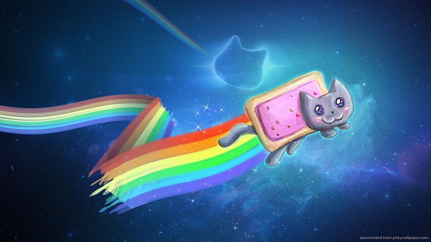 Nyan Cat Cool Art . Art in 2019, Dual Screen Cat HD wallpaper