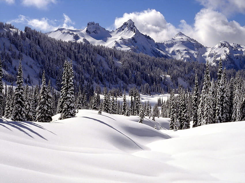 Tatoosh Range Mount Ranier Washington State, зима, пейзаж, среща на върха, сняг, дървета, природа, връх, планини, гора HD тапет