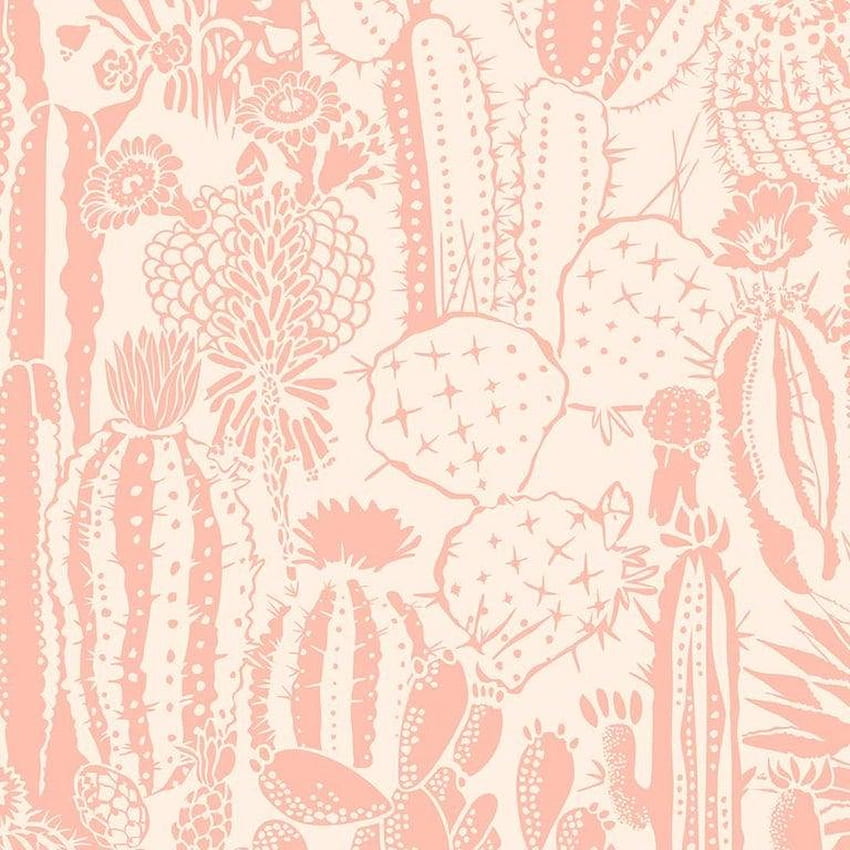 Cactus Spirit Designer w kolorze Splendid „Salmon Pink and Blush” na sprzedaż w 1stDibs Tapeta na telefon HD