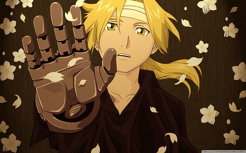 Mobile wallpaper: Anime, Fullmetal Alchemist, Dog, Edward Elric, Fullmetal  Alchemist: Brotherhood, 457632 download the picture for free.