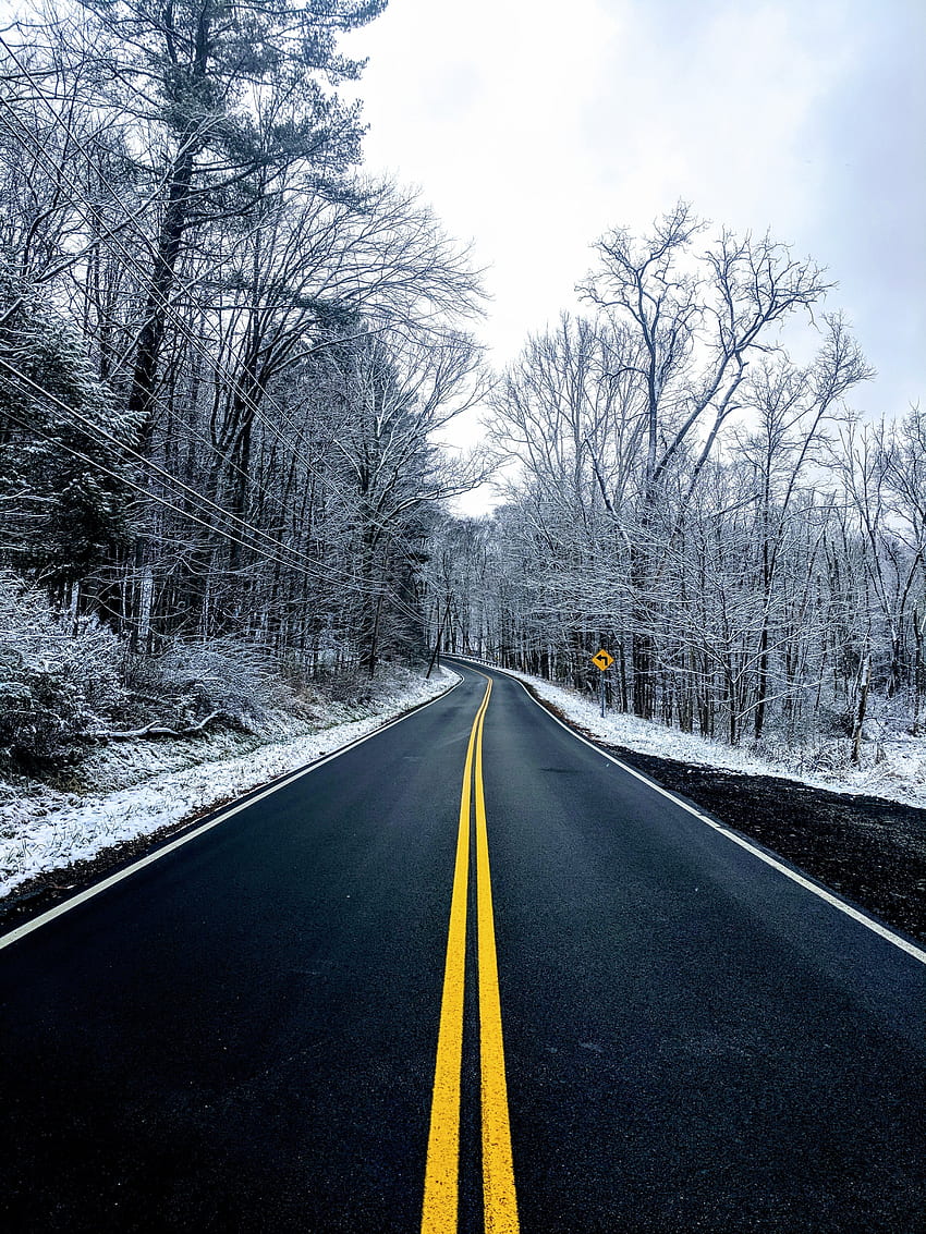 Winter, Nature, Trees, Snow, Road, Markup, Asphalt HD phone wallpaper
