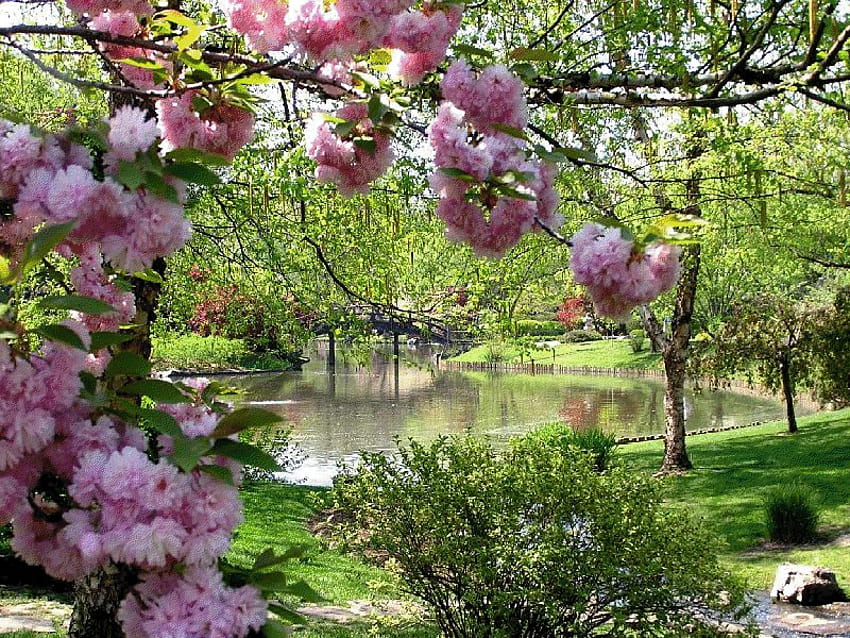Пролетна градина, градина, природа, пролет, парк HD тапет