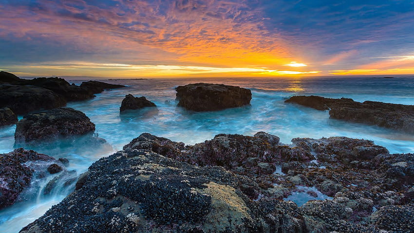 바다 바다: Shore Rocks Oceans Bing Nature Ultra for 16:9 HD 월페이퍼