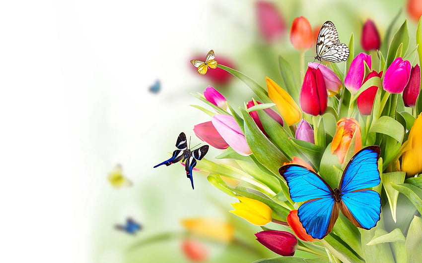 bright flowers and butterflies
