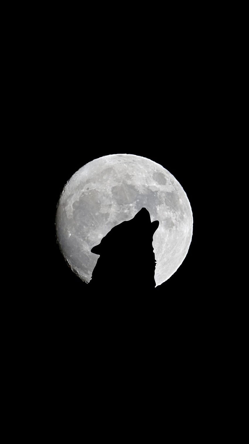 full moon, wolf, howl, bw iphone, Dark Night with Moon HD phone wallpaper
