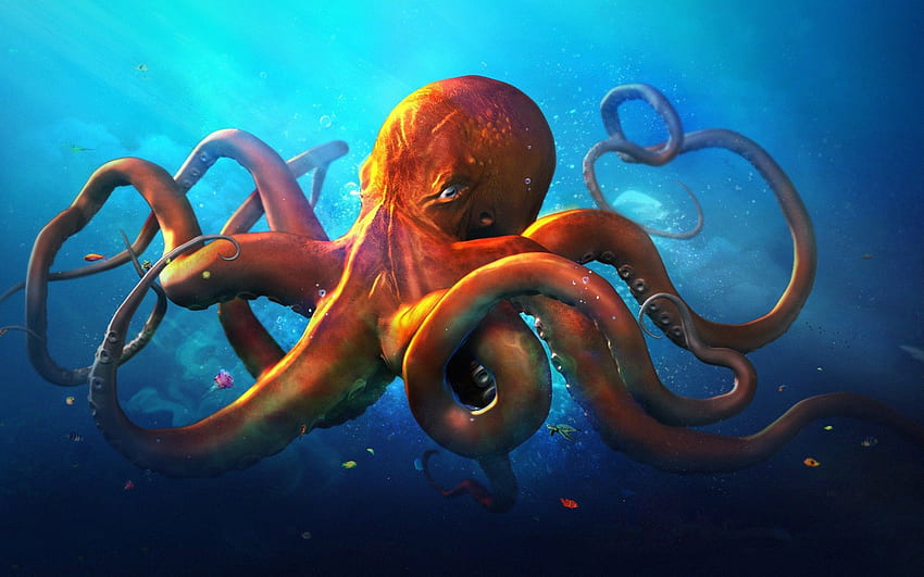 Octopus . Creative, Cute Octopus HD wallpaper