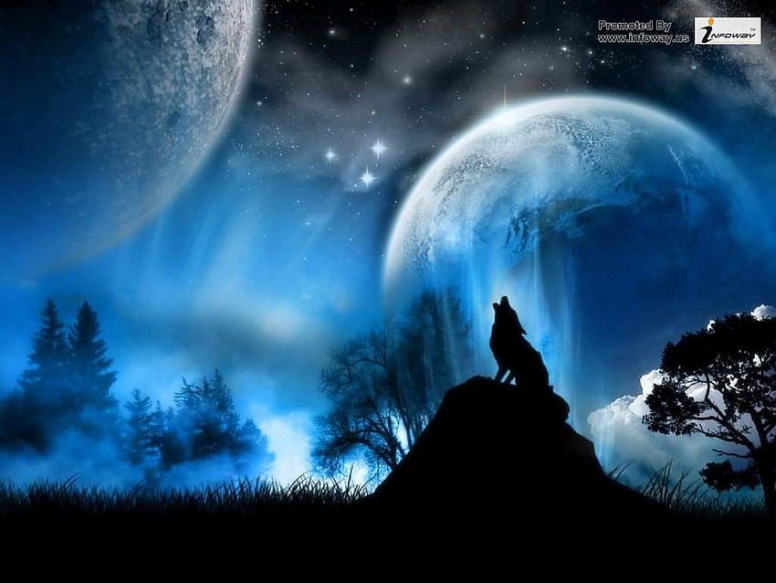 howling wolf . howling wolf wallpape, Blue Wolves HD wallpaper