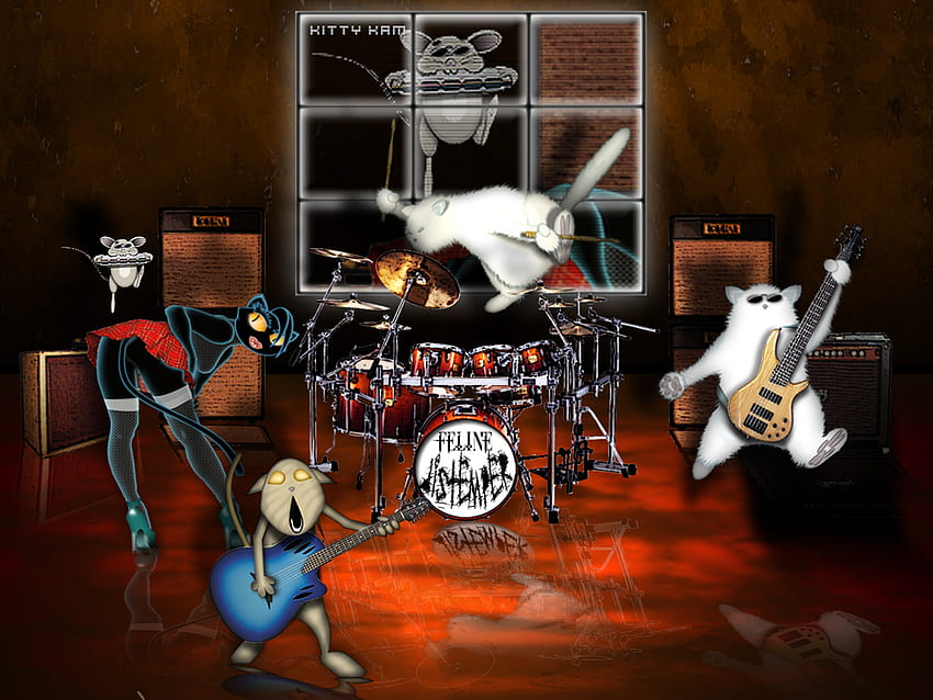 Rock Band, müzik, eğlence HD duvar kağıdı