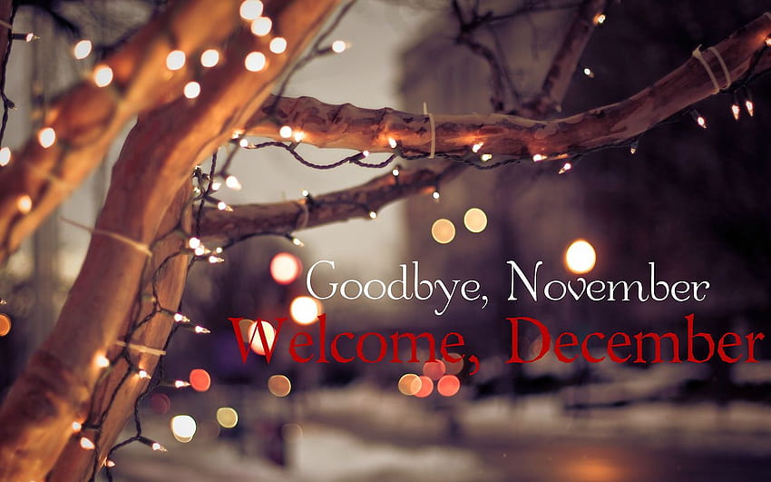Adiós noviembre Hola diciembre , y, Bienvenido diciembre fondo de pantalla  | Pxfuel