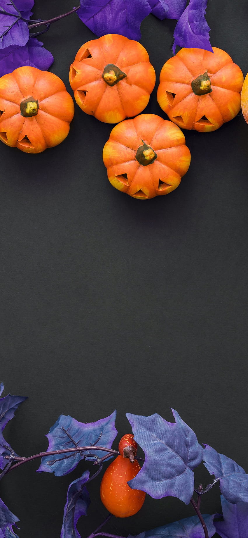 Halloween, pumpkin, berries, decoration iPhone XS HD phone wallpaper